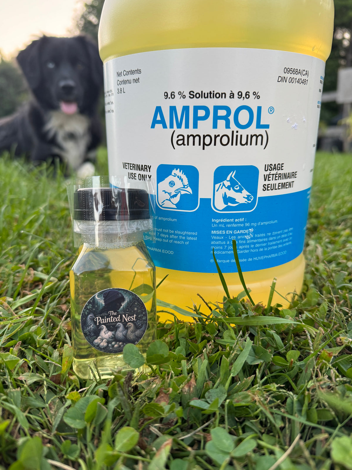 Amprol — 4 oz (118 mL)