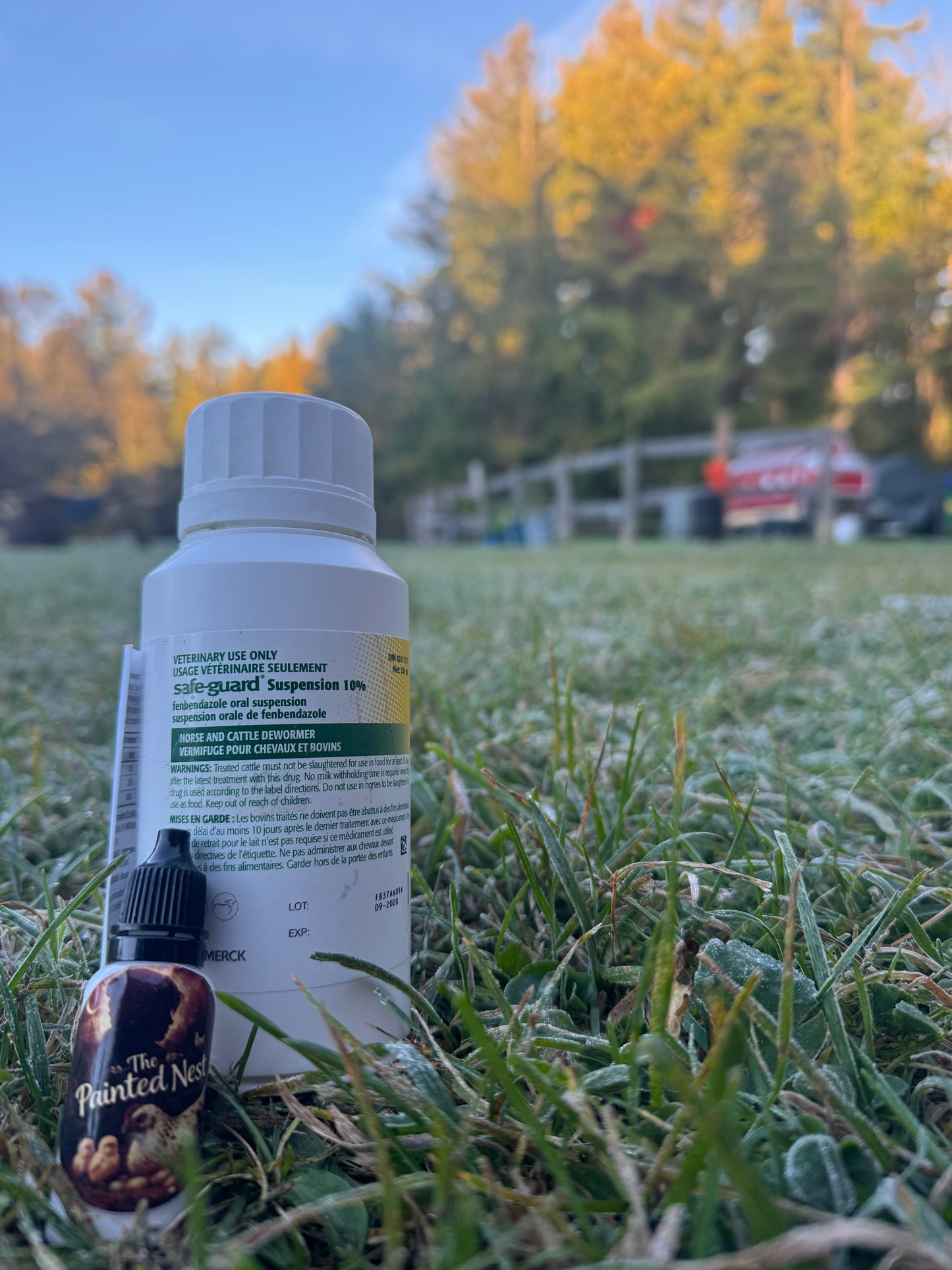 Safeguard 10% — 15 mL